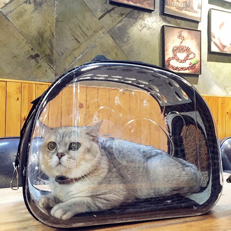 Kedi Çantaları
